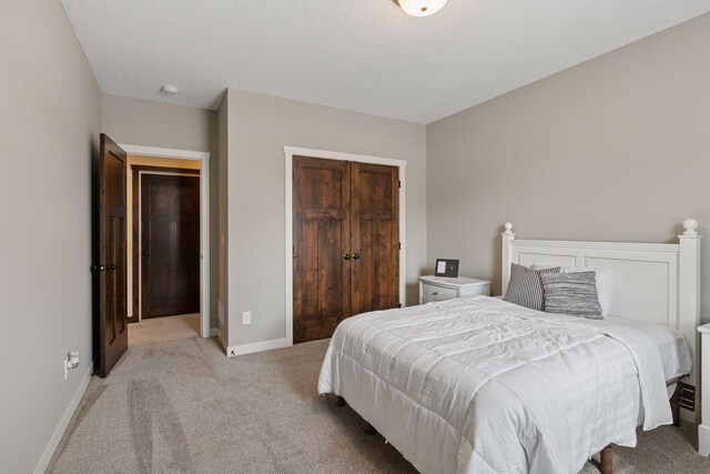 12770 196th Ave NW, Elk River, MN 55330 - bedroom featuring light colored carpet, a closet, and baseboards