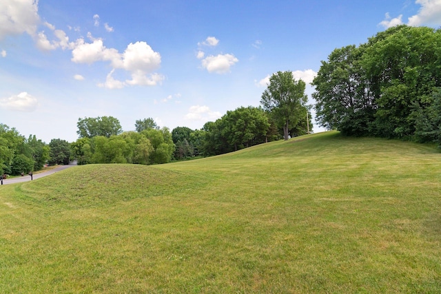 12770 196th Ave NW, Elk River, MN 55330 - view of grassy yard with view of scattered trees and view of golf course