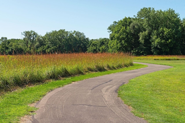 12770 196th Ave NW, Elk River, MN 55330 - view of road with a view of trees