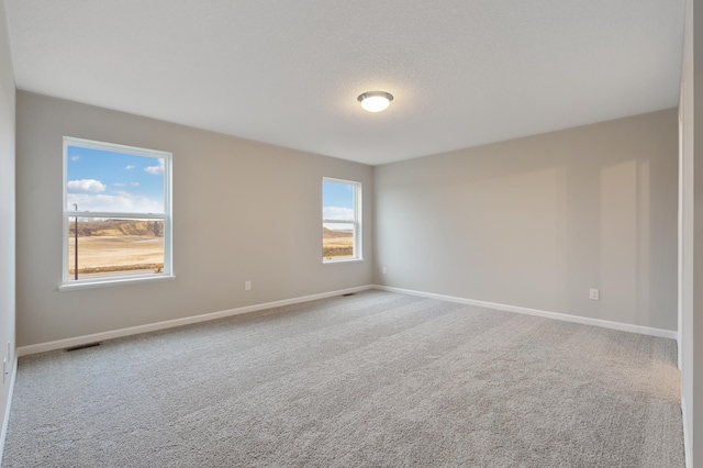 unfurnished room featuring a textured ceiling, a wealth of natural light, and carpet