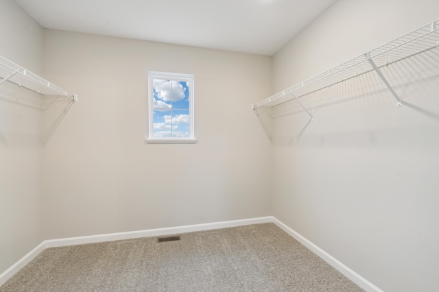 spacious closet featuring carpet