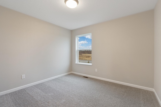 spare room with carpet and a textured ceiling