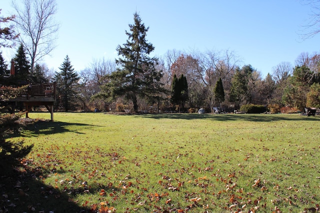 view of yard with a deck