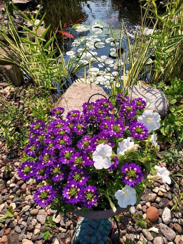 exterior details with a garden pond