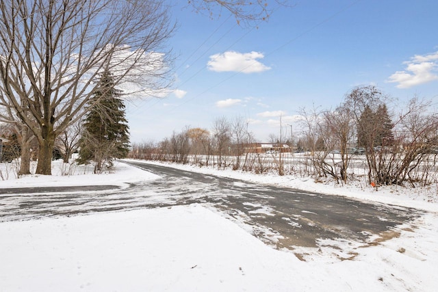 view of yard covered in snow