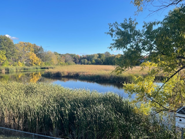 property view of water