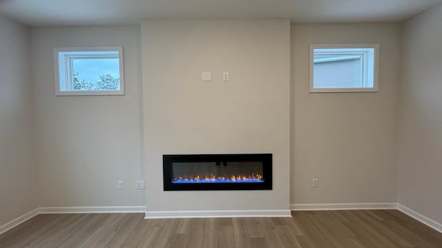 room details featuring hardwood / wood-style flooring