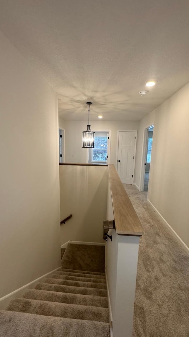 stairs with a chandelier and carpet