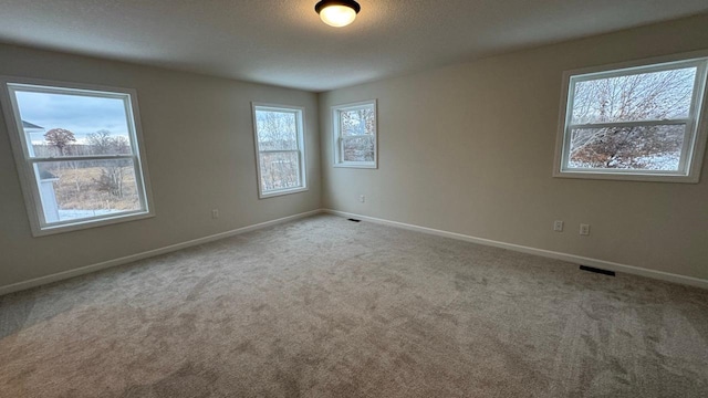 carpeted empty room with a healthy amount of sunlight