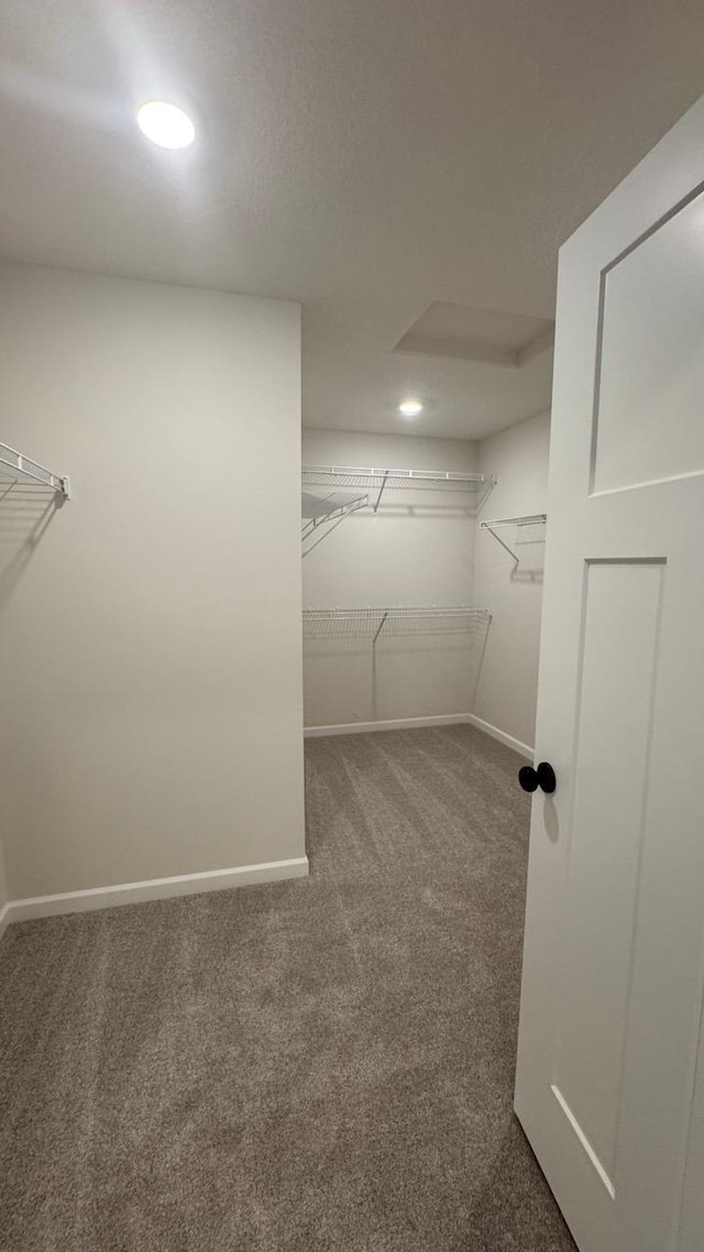 walk in closet with carpet