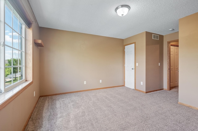 unfurnished room featuring a wealth of natural light, a textured ceiling, and light carpet