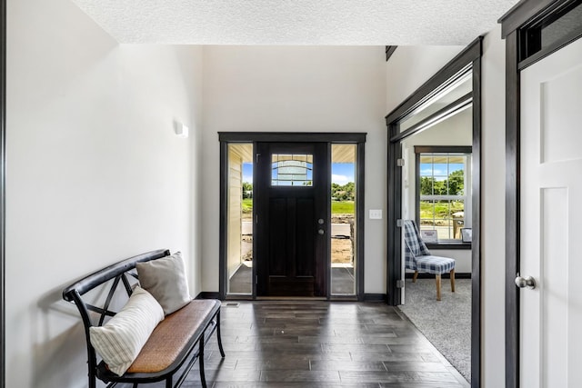 foyer entrance with dark hardwood / wood-style flooring and a textured ceiling