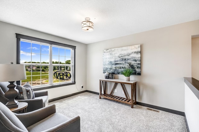 sitting room with a textured ceiling and light colored carpet