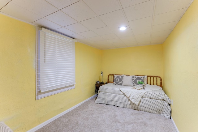 bedroom with carpet flooring and a paneled ceiling