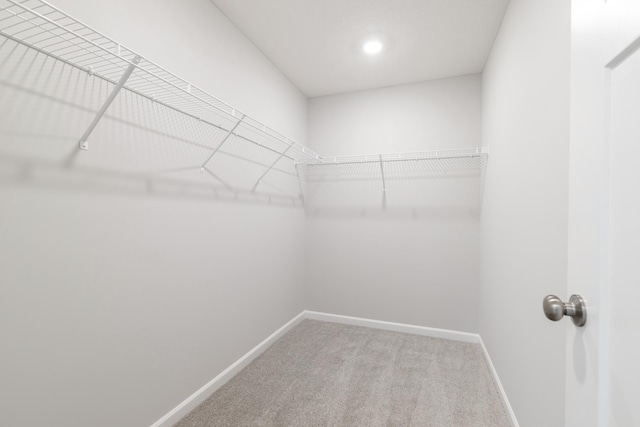 walk in closet with carpet floors