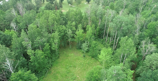 Listing photo 2 for LOT3 Eagle Dr, Bigfork MN 56628