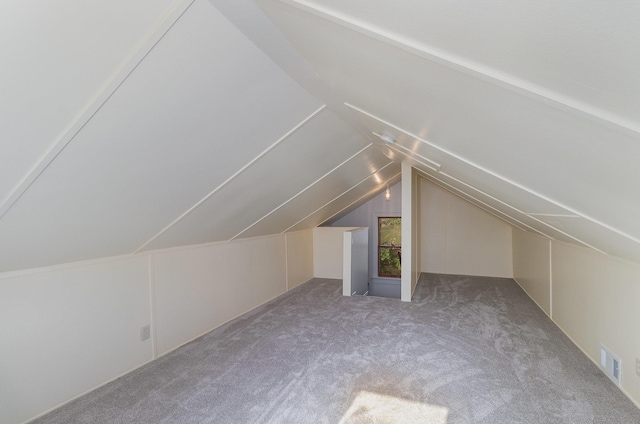 additional living space with lofted ceiling and light carpet