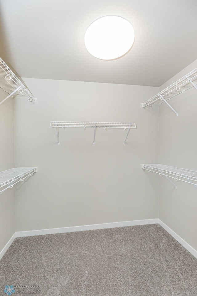 walk in closet with carpet