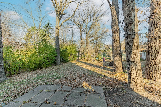 view of yard with a patio area