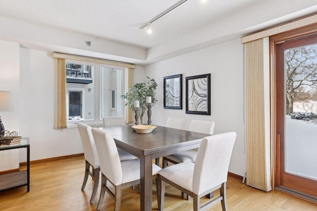 dining space with light hardwood / wood-style floors, a wealth of natural light, and track lighting