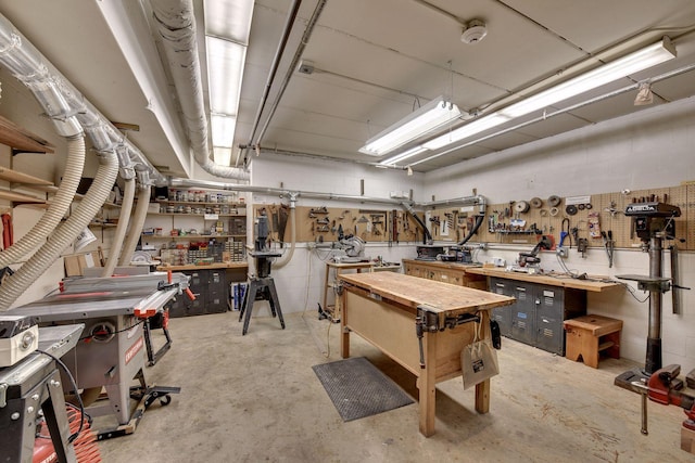 basement with a workshop area