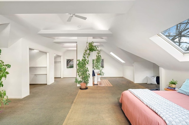 carpeted bedroom with a walk in closet, ceiling fan, and vaulted ceiling with skylight