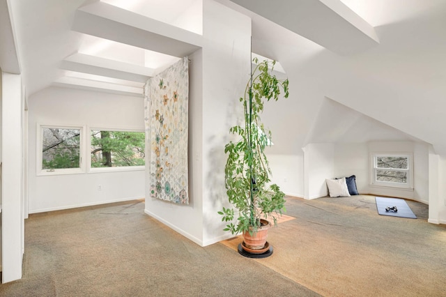 interior space with vaulted ceiling and carpet flooring