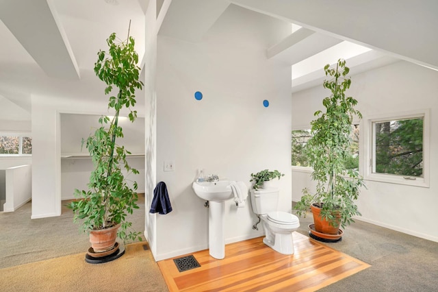 bathroom with toilet