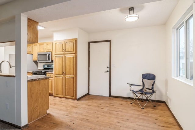 kitchen with stainless steel appliances, light hardwood / wood-style flooring, and sink