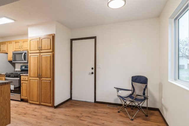 kitchen with appliances with stainless steel finishes and light hardwood / wood-style flooring