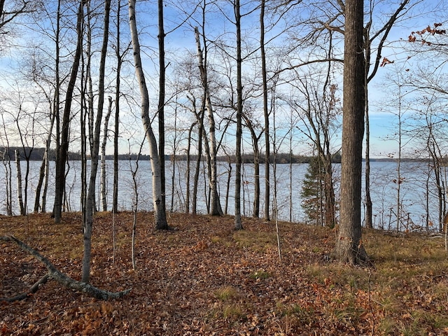 2746A 28th St, Birchwood WI, 54817 land for sale