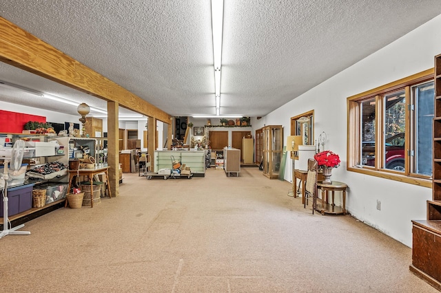 miscellaneous room with a textured ceiling and carpet floors