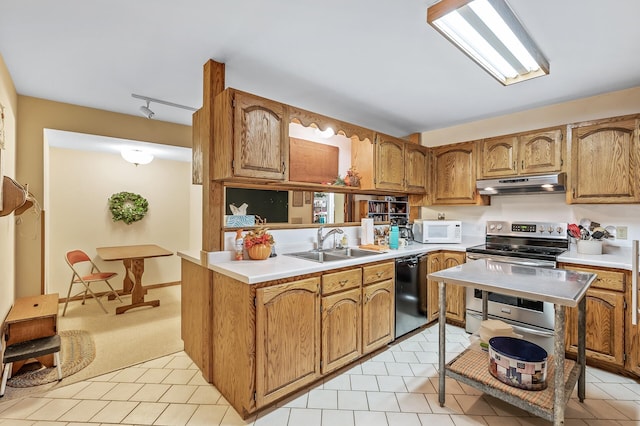 kitchen with light colored carpet, stainless steel range with electric stovetop, sink, and black dishwasher