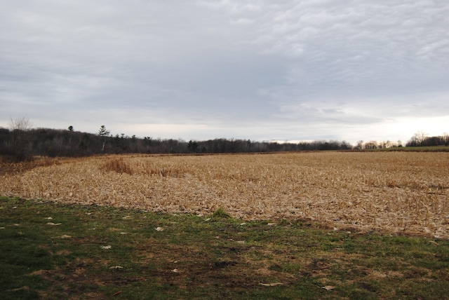 view of landscape with a rural view