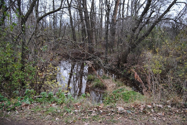 view of local wilderness