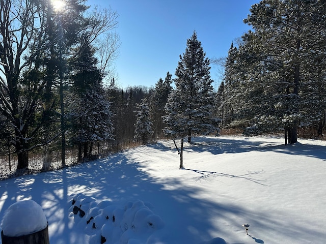 view of yard layered in snow