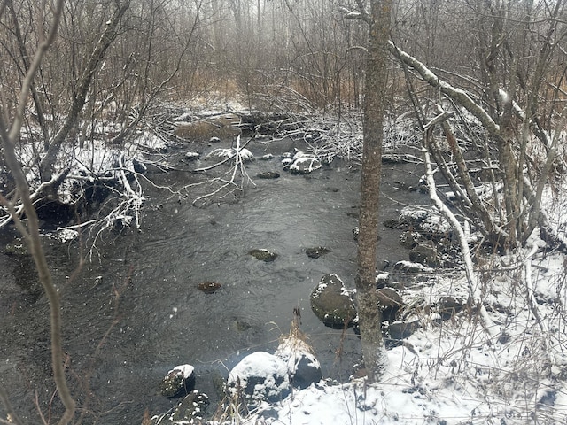 view of local wilderness