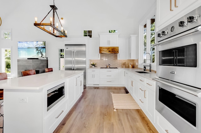 4756 Kildare Rd, Mound, MN 55364 - kitchen with built in appliances, light wood-type flooring, a sink, and light countertops