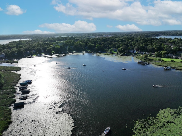 bird's eye view with a water view