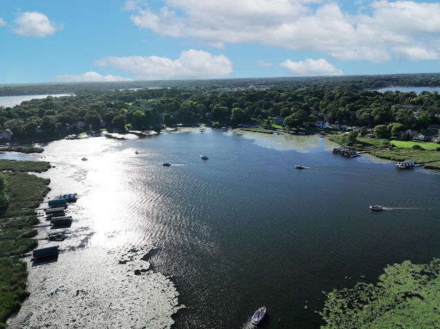 4756 Kildare Rd, Mound, MN 55364 - bird's eye view of a nearby body of water