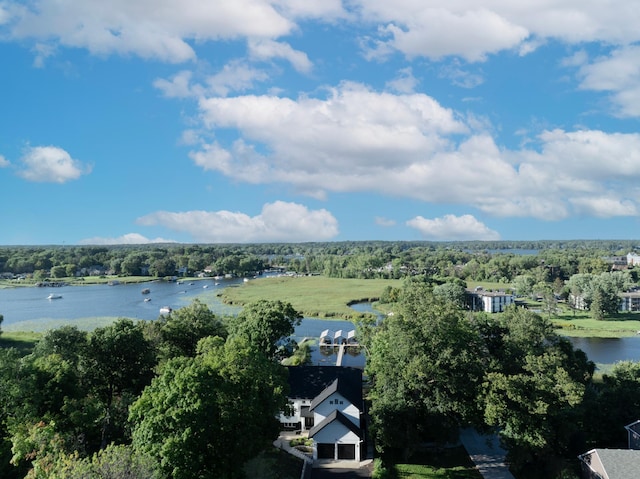 bird's eye view with a water view