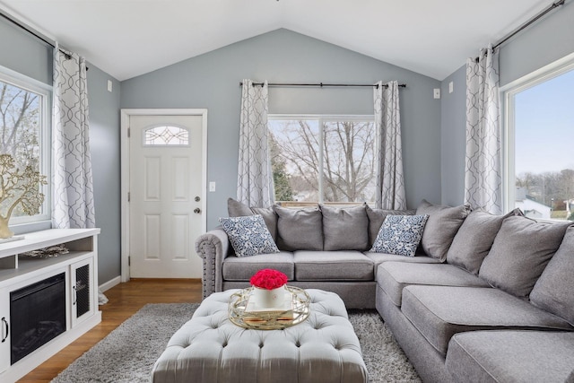 living room with wood-type flooring, vaulted ceiling, and a wealth of natural light