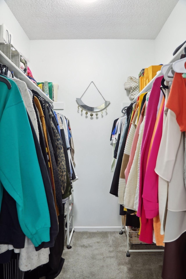 spacious closet featuring carpet floors