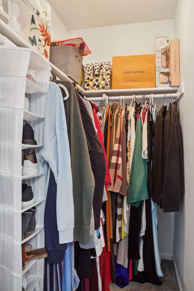 spacious closet with carpet floors