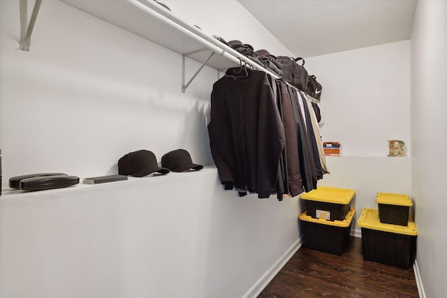 spacious closet featuring dark hardwood / wood-style floors