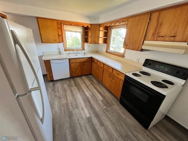 kitchen with light wood-type flooring, white appliances, sink, and exhaust hood