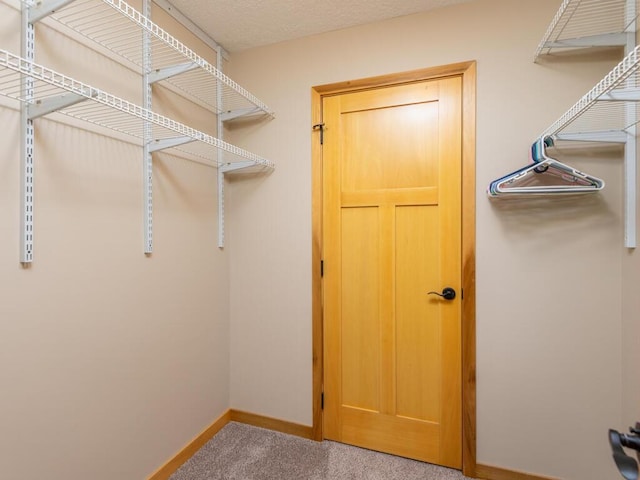 walk in closet with carpet floors