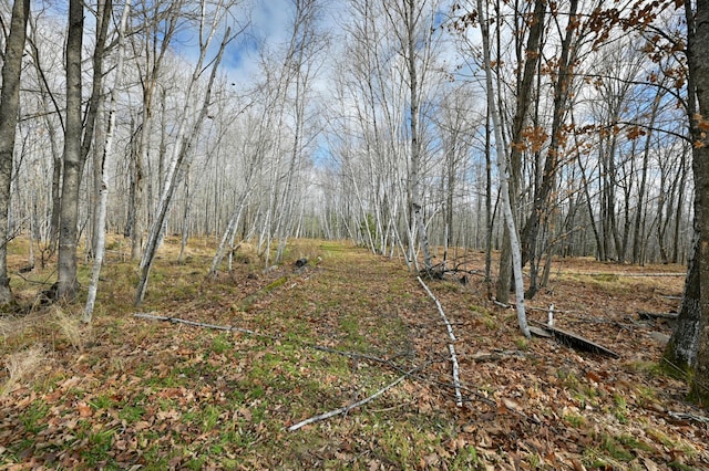 11242 Pierce Rd, Solon Springs, WI 54873 - view of local wilderness