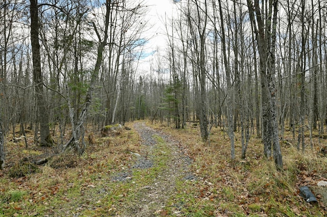 11242 Pierce Rd, Solon Springs, WI 54873 - view of woods