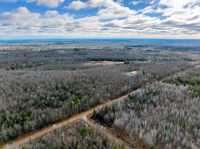 11242 Pierce Rd, Solon Springs, WI 54873 - bird's eye view of a heavily wooded area